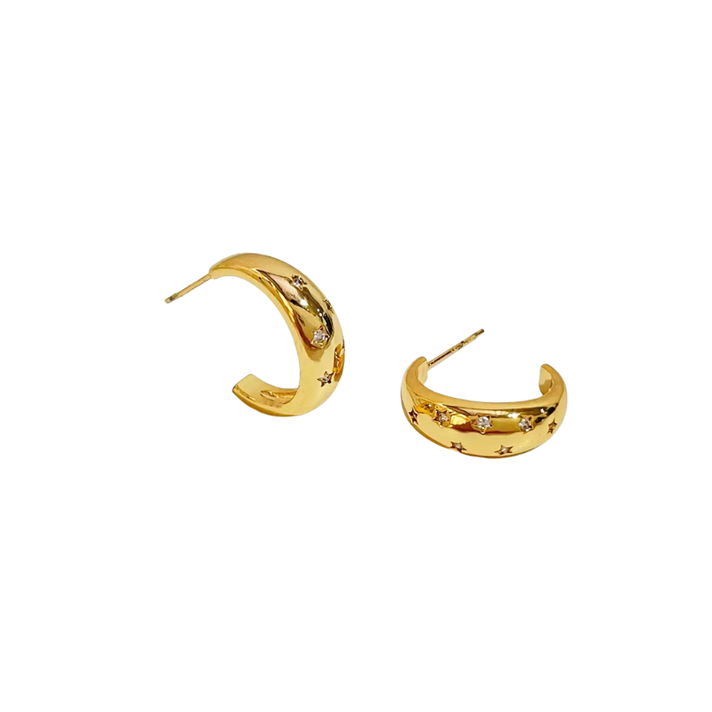 Paloma Earrings