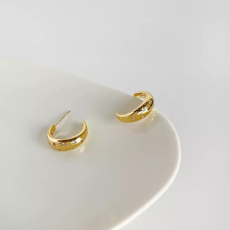 Paloma Earrings